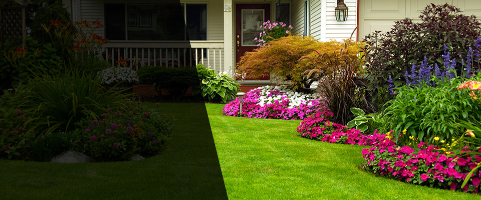 Emily Landscapers